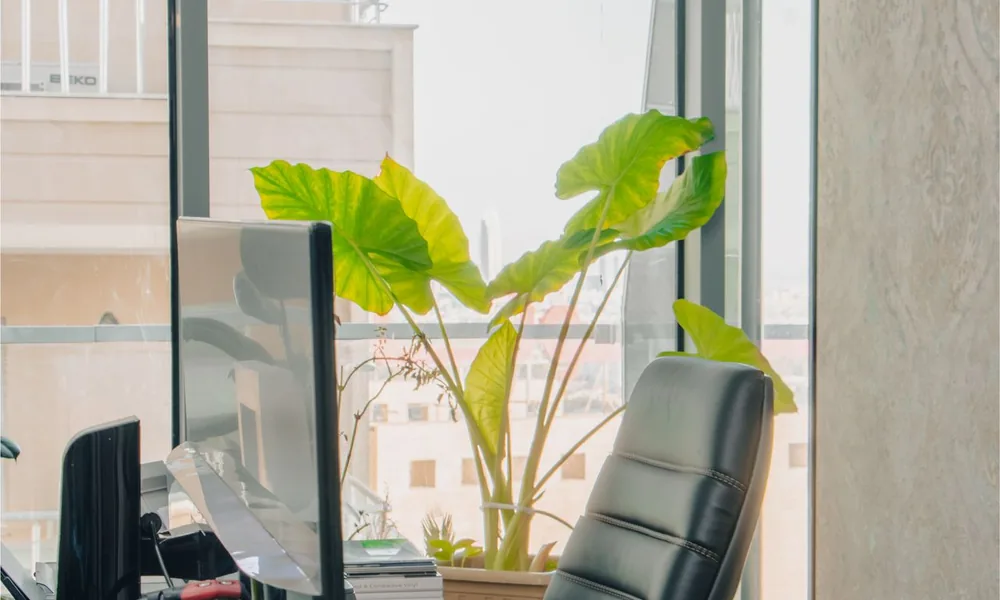 Office 365 įmonėms — modernios darbo vietos